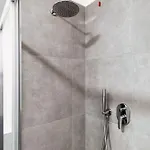 Primula Daire